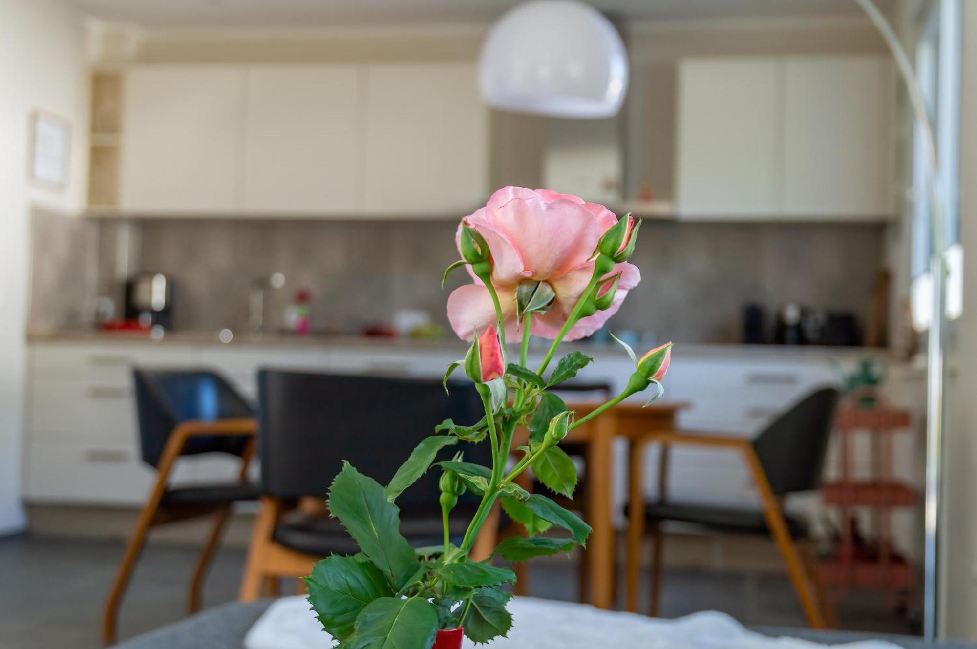 Ferienwohnung Wurzelecht Бад Нойенар-Арвайлер Екстериор снимка